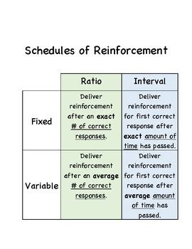 Schedules Of Reinforcement Worksheet