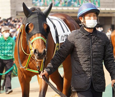 2023年2月19日東京競馬★3歳未勝利★2r★パンクサイド★調教師さんと一緒♪ 公式：黒澤ひかりのキラキラ日記～magic Kiss