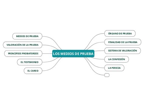 Los Medios De Prueba Mind Map