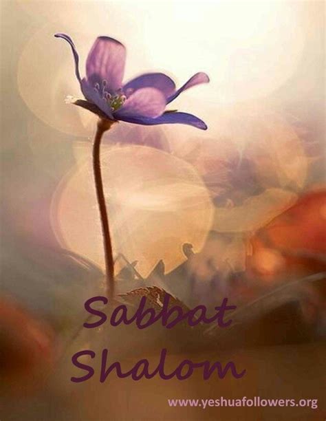 Mejores 36 Imágenes De Shabbat Shalom En Pinterest Shabat Shalom