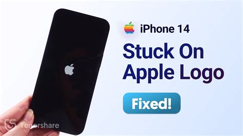 How To Fix Iphone Pro Pro Max Stuck On Apple Logo Boot Loop