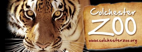 colchester zoo   great family day   carpenters farm