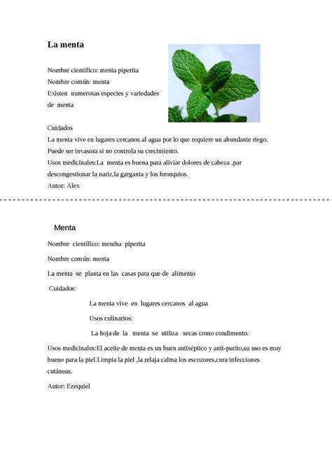 Calaméo Fichas Tematicas Sobre Plantas AromÁticas