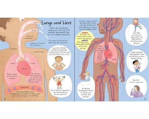 Aufklappen Und Entdecken Dein K Rper Usborne Drachenstube