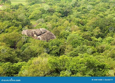 Jungle Mountain Aerial View Stock Photo Image Of Plane Rain 44814488