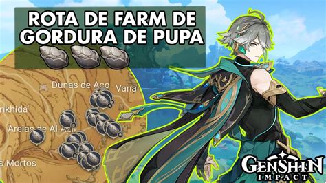 ROTA DE FARM PARA O ALHAITAM GORDURA DE PUPA YouTube