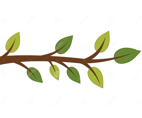 Vector Tree Branch With Green Leaves Stock Vector Illustration Of