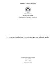 M Plantilla Docx Nurs Gerencia Y Liderazgo Nuc University