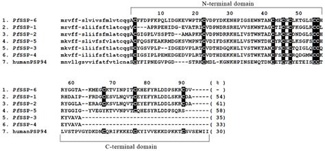 Alignment Of The Deduced Amino Acid Sequences Encoded By The Open