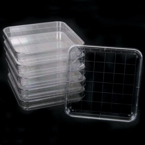 Maxome Polystyrene Square Petri Dish For Chemical Laboratory Size