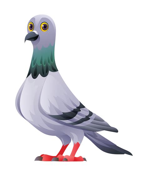 Cute Pigeon Bird Cartoon Illustration Isolated On White Background