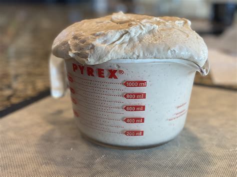 FAQ Bulk Fermentation Timing The Sourdough Journey