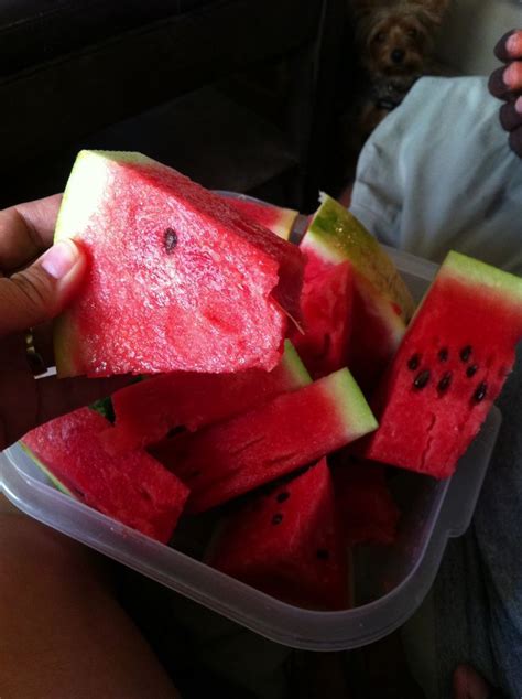 Sandia