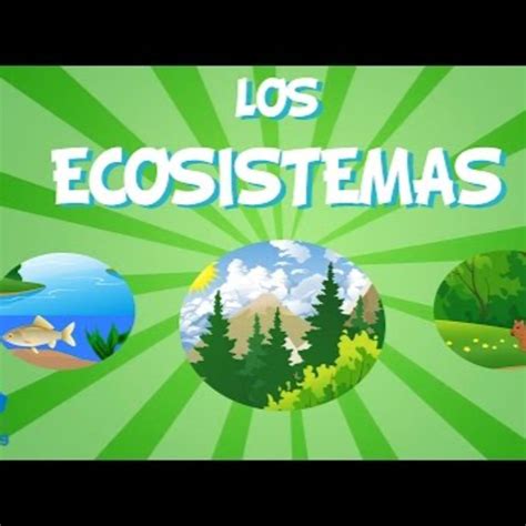 Tipos De Ecosistemas Tipos De Ecosistemas Podcast Listen Notes