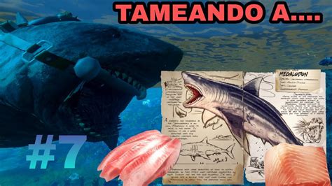 Como Tamear Un Megalodon Ark Mobile Tameando A 7 YouTube