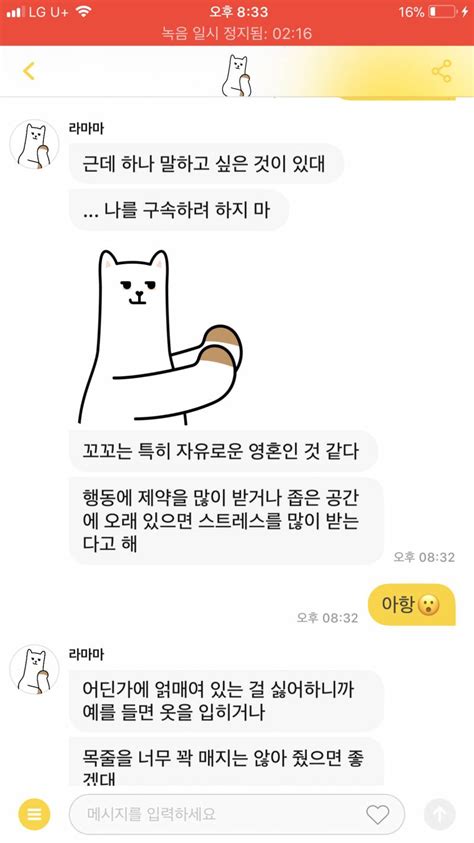 라마마 진짜야 안믿어도 되는거지 인스티즈instiz 일상 카테고리