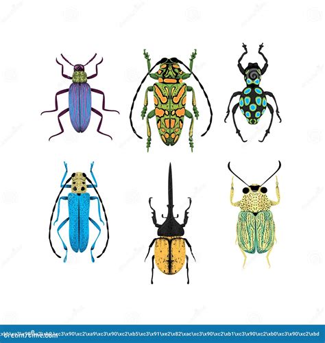 Bug Species And Exotic Beetles Icons Vector Collection. Various Insects ...