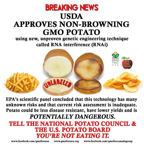 Hot Potato New Genetically Modified Tater Approved By Usda Loathed By