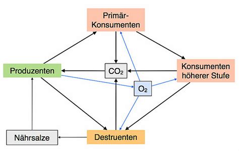 U Helmich De Der Kohlenstoff Carbonat Kreislauf