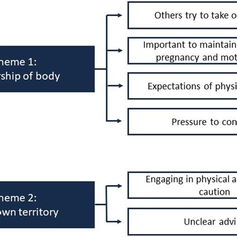 Thematic Map Of Key Themes And Sub Themes Download Scientific Diagram