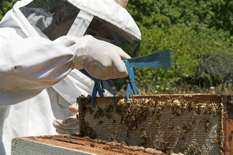 Barreras Sanitarias Los Controles Del Senasa Para Mantener La