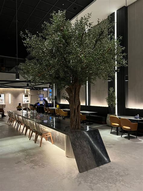 An Olive Tree Is In The Middle Of A Long Table With Chairs And Tables