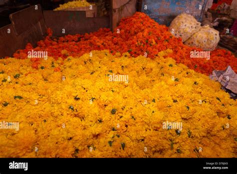 Mapusa in North Goa Stock Photo - Alamy