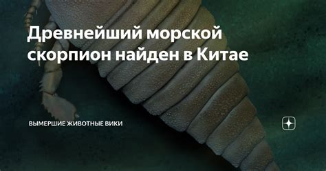 Древнейший морской скорпион найден в Китае | Вымершие животные вики | Дзен