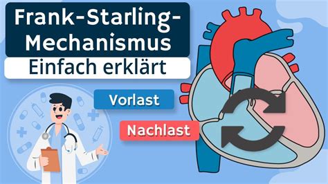 Frank Starling Mechanismus Einfach Erkl Rt Youtube