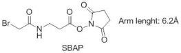 SMCC succinimidyl 4 N maleimidomethyl cyclohexane 1 carboxylate 多荧生物