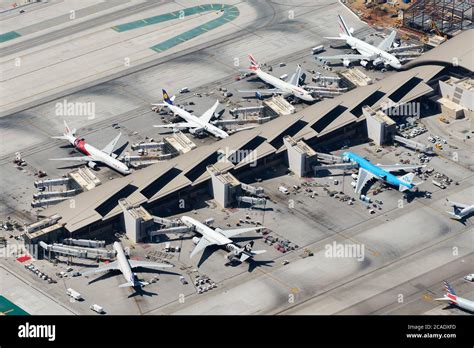 Malign tümör orman hırsızlık tom bradley international terminal lax