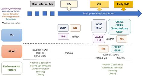 Frontiers Biological Markers In Early Multiple Sclerosis The Paved