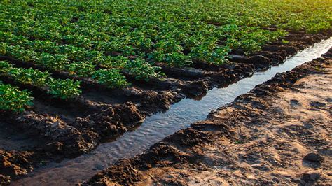 Events ¿cómo Gestionaremos El Uso Del Agua En La Agricultura En El