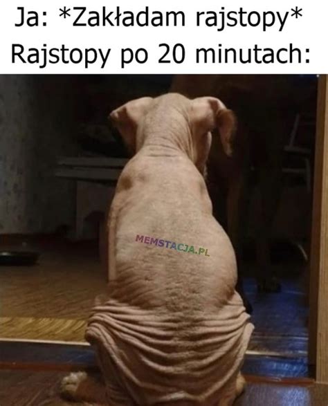 Twoje Rajstopy Po Minutach Memstacja Pl