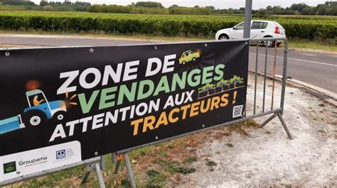 Vendanges Toujours Un Manque De Main D Uvre Dans Les Vignes Du