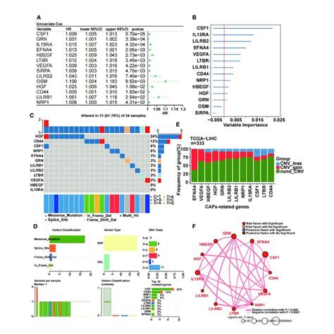 Identification Of 12 Caf Related Prognostic Genes A Univariate Cox Download Scientific