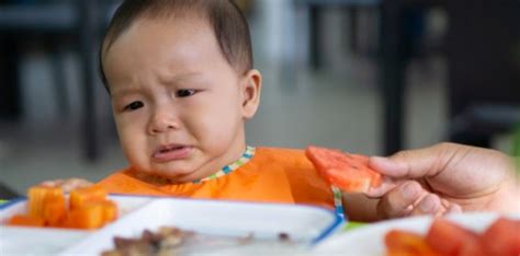 masalah anak picky eater  elak  guna tips
