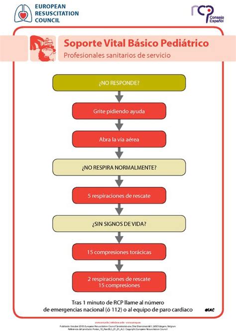 Rcp Pedi Trica Primeros Auxilios