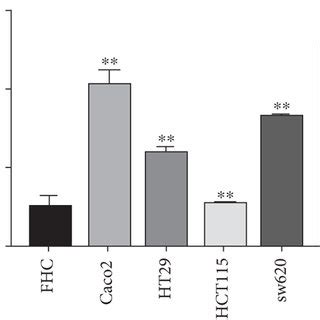 Characterization Of Hsa Circ 0001955 In CRC A And B QRT PCR Detect