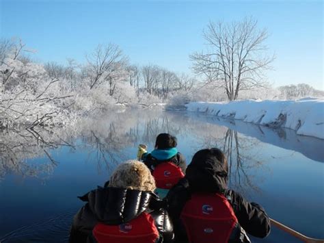 Special Winter Only Canoe Tour Of The Kushiro Wetlands From Kushiro