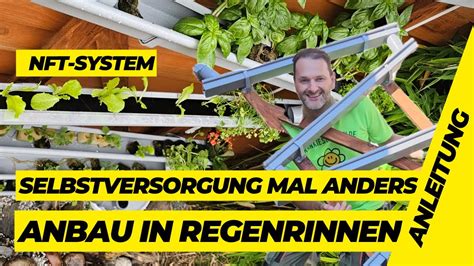 100 Pflanzen auf 2m² Kräuter Gemüse und Salate zur Selbstversorgung