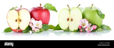 Apple Fruit Apples Fruits Red Green Sliced Isolated On A White