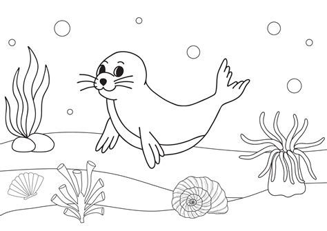 Cute cartoon fur seal. Coloring book or page for kids. Marine life ...