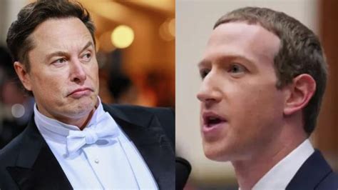 Elon Musk Dan Mark Zuckerberg Siap Adu Jotos Di Atas Ring