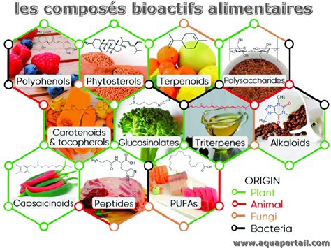 Compos Bioactif D Finition Et Explications