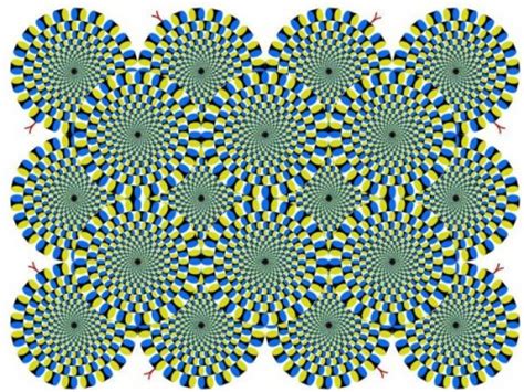 Can You Solve These Moving Optical Illusion Brain Teasers