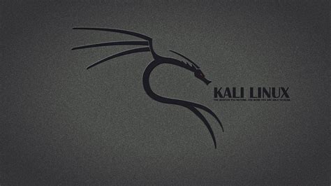 Kali Linux Black Wallpapers - Top Free Kali Linux Black Backgrounds ...