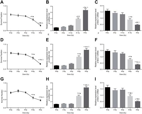 Comparison Of Mirna 132 And Bmi 1 Expression In Cc Cells After