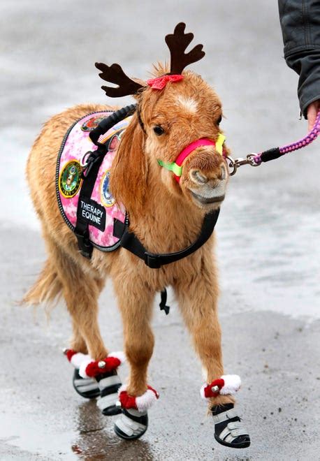 Okc Stockyards Christmas Parade