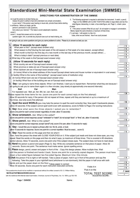 Standardized Mini Mental State Examination Form Fill Out And Sign Hot Sex Picture